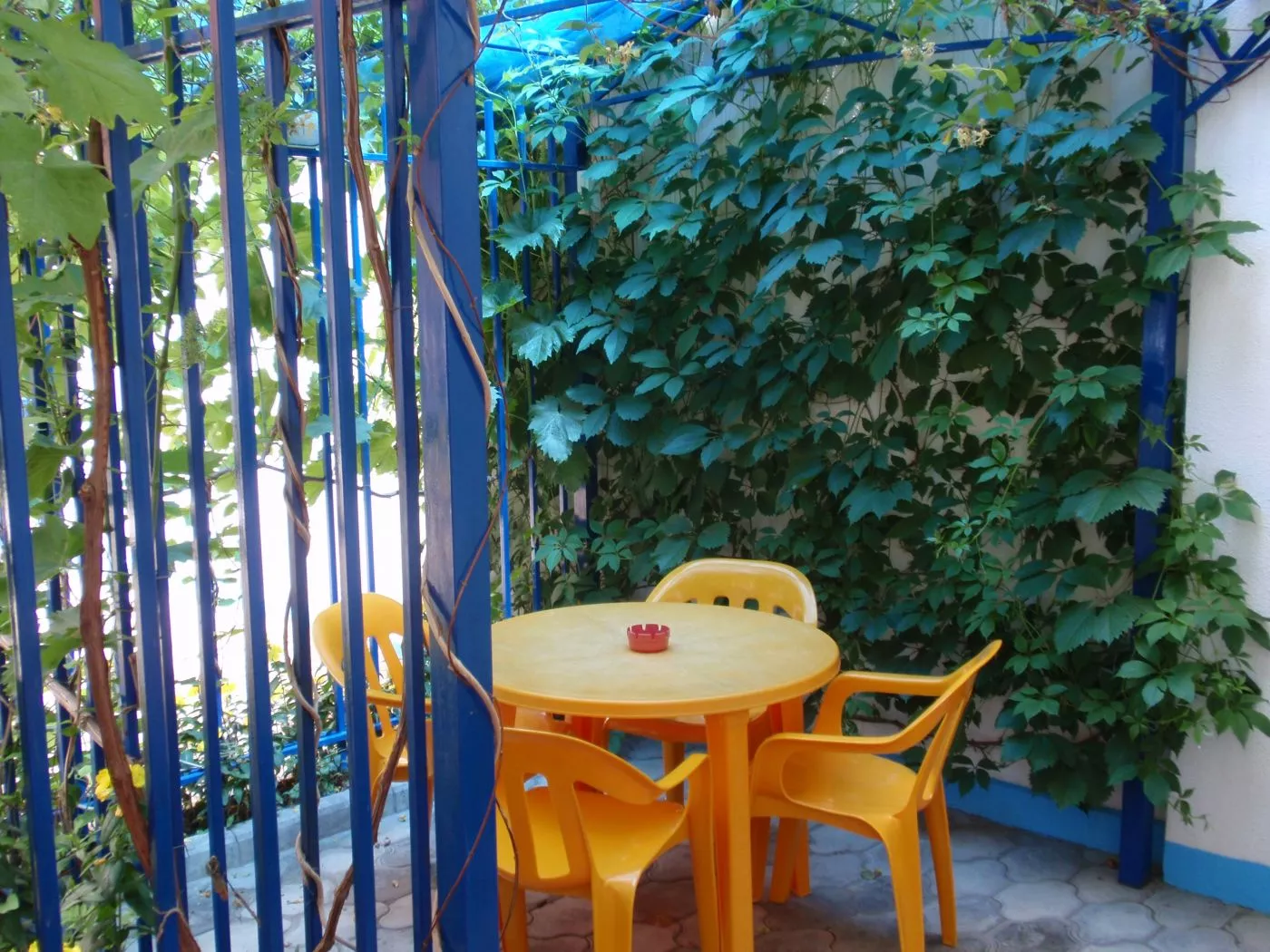 . Гостевой дом Морячок. Анапа