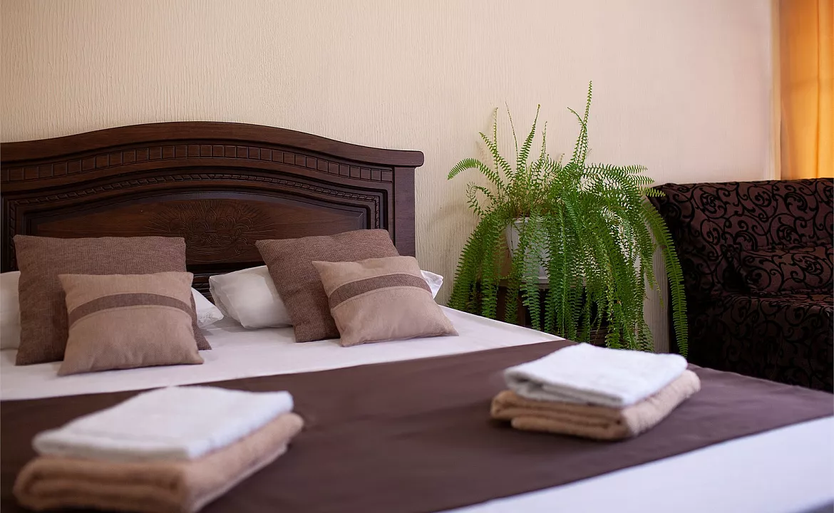 Стандарт двухместный с креслом. Гостевой дом «Алоиза». Лоо