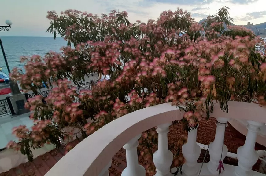 . Мини-гостиница "Аквамарин". Судак