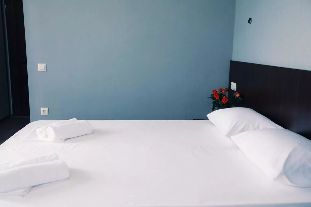 Двухместный номер. Отель АЙСБЕРГ. Лазаревское