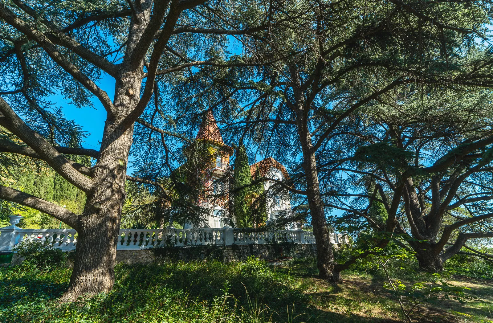 . Санаторий Санаторий «Понизовка». Понизовка