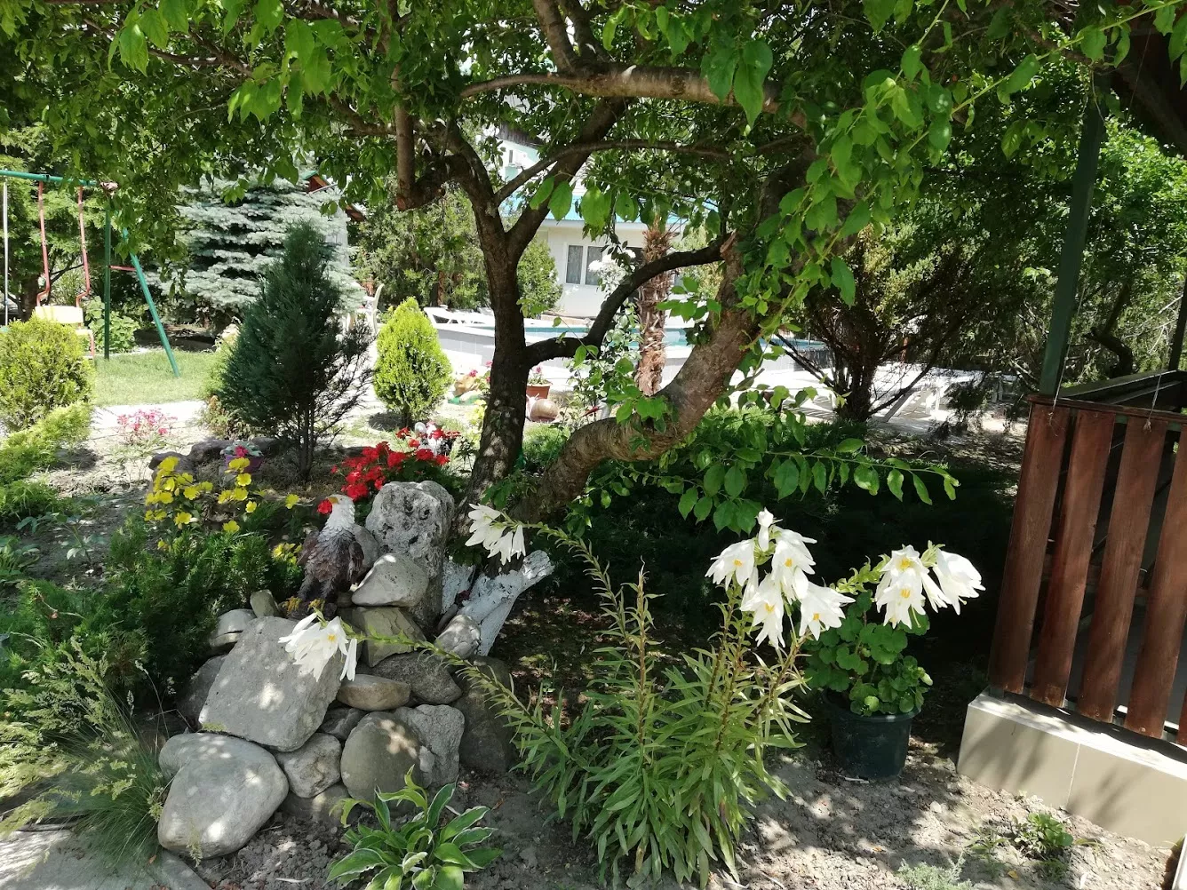 . Гостевой дом "Сибирячка". Ольгинка