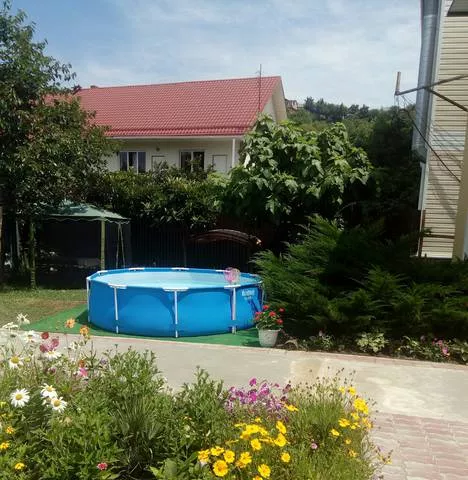 . Частный сектор Лето. Головинка