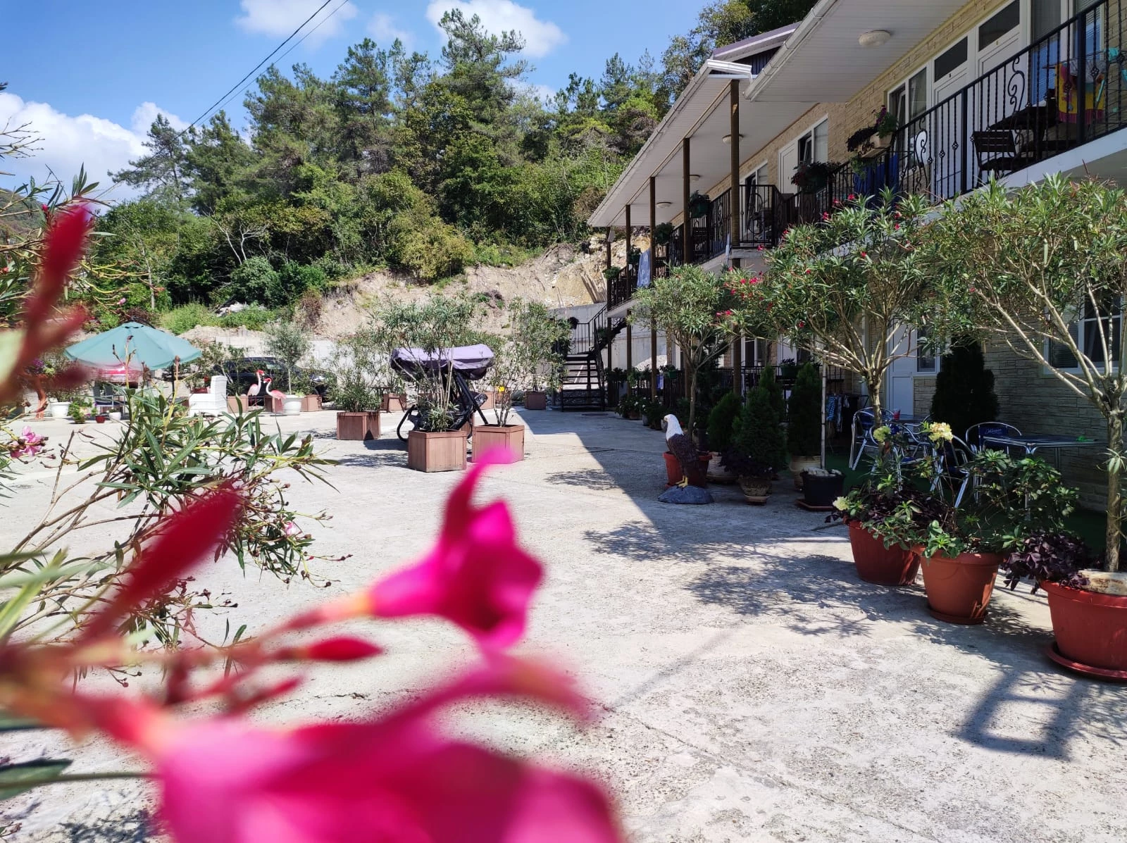 . Уда-ча в Свирском ущелье. Лазаревское