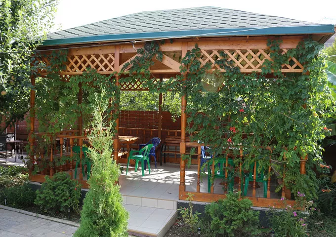 . Гостевой дом "Сибирячка". Ольгинка