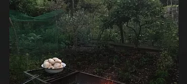 Частный сектор Хатуна