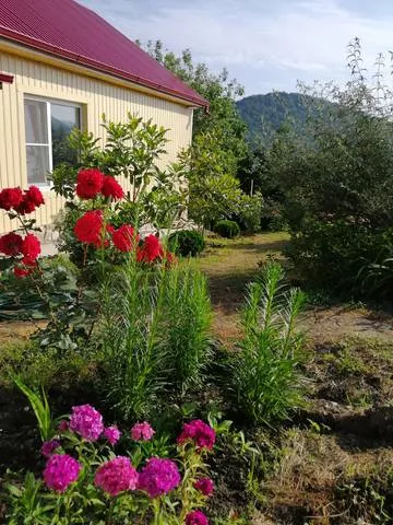 . Частный сектор "Клевер" в Новомихайловском. Новомихайловский . Частный сектор "Клевер" в Новомихайловском. Новомихайловский