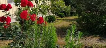 Частный сектор "Клевер" в Новомихайловском