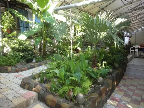 . Частный сектор "Тропикано". Лазаревское