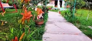 Гостевой дом Лесная прохлада