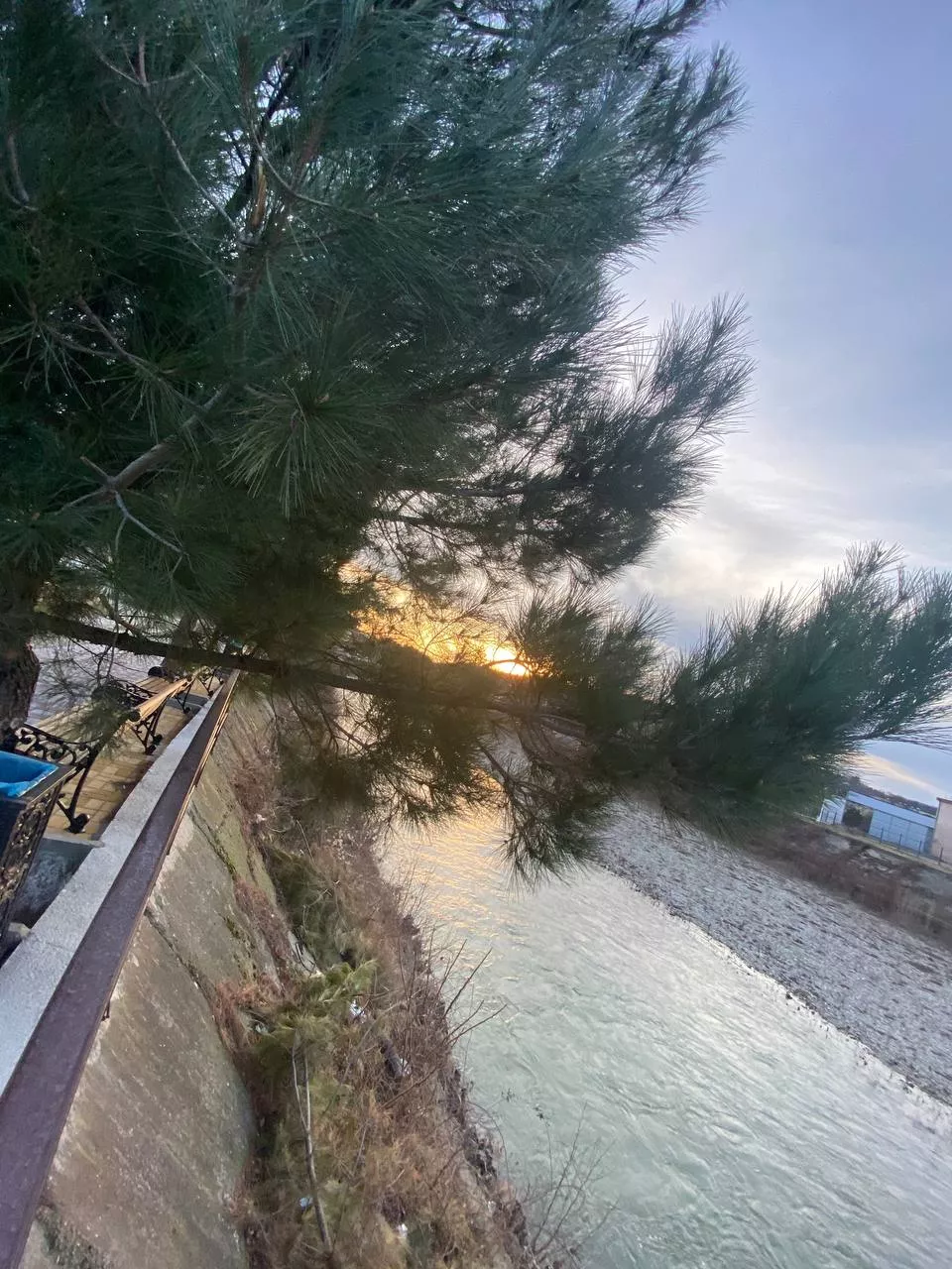 . Гостевой дом "Инжир". Новомихайловский . Гостевой дом "Инжир". Новомихайловский