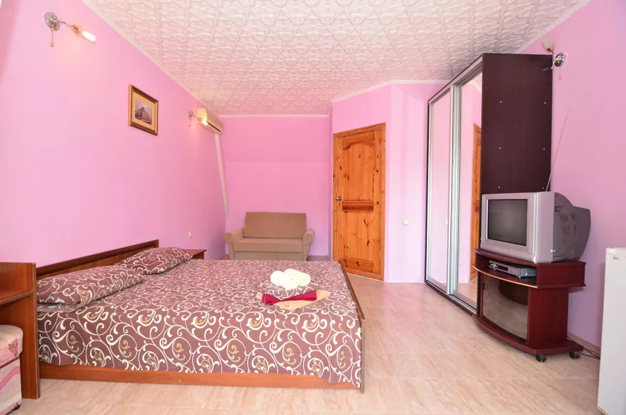 2-3-местный 1-комнатный 