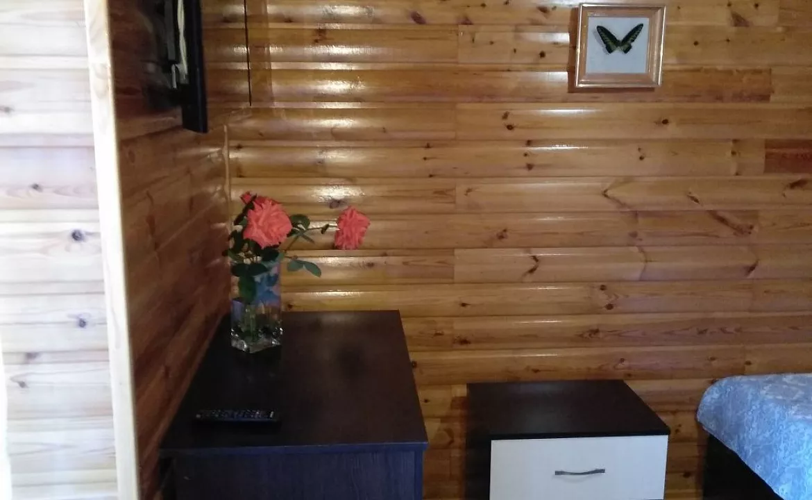 Стандарт. Частный сектор "Пассифлора". Адлер Стандарт. Частный сектор "Пассифлора". Адлер