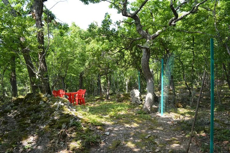 . База отдыха Можжевеловый Рай. Малый Утриш