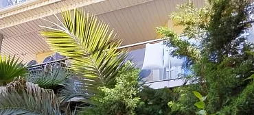 Гостевой дом   Доминика 