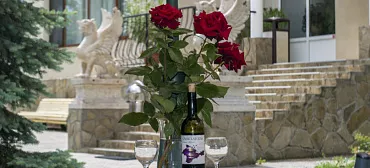 Гостевой комплекс "Мечта Тея"