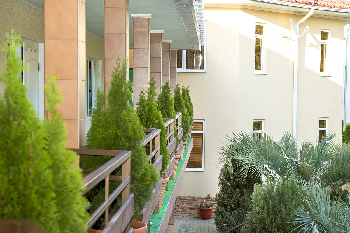 . Гостевой дом «Агава» - Адлер. Адлер