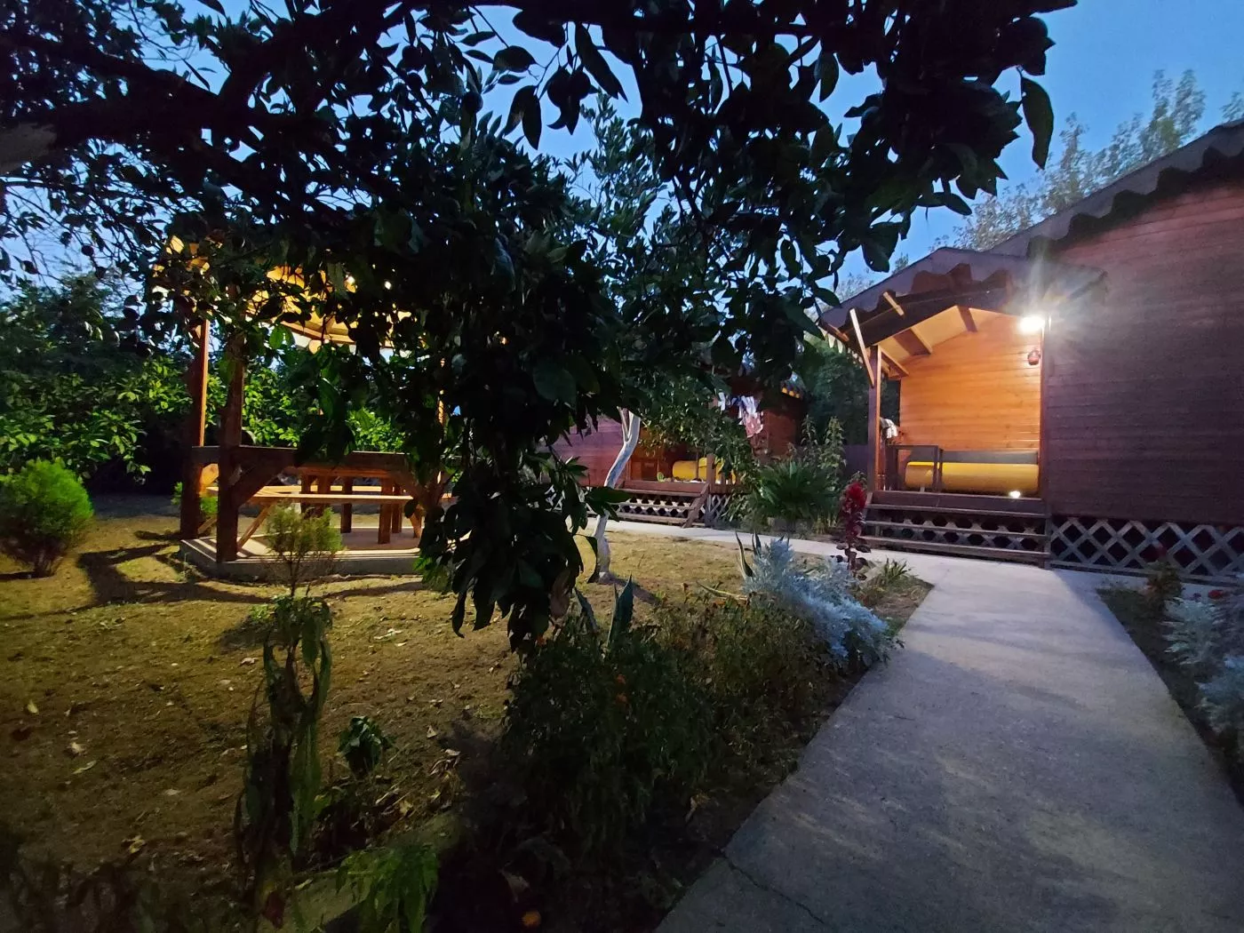 . Гостевой дом КАМЕЛИЯ. Пицунда