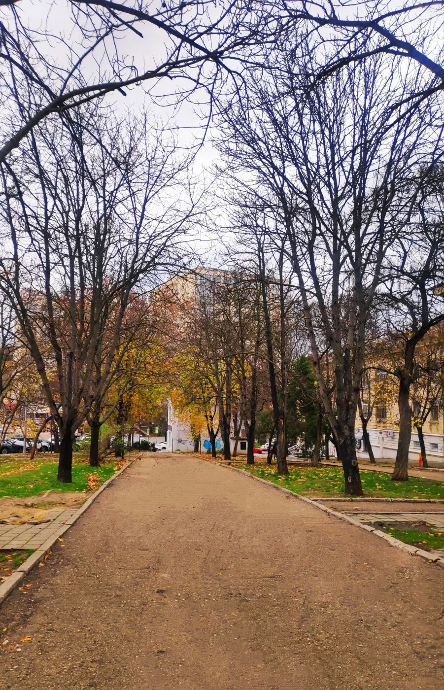 . Квартира в многоквартирном доме Студии в центре Севастополя. Севастополь . Квартира в многоквартирном доме Студии в центре Севастополя. Севастополь