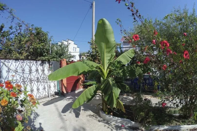 . Отель "Берег"       . Джубга