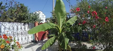 Отель "Берег"       