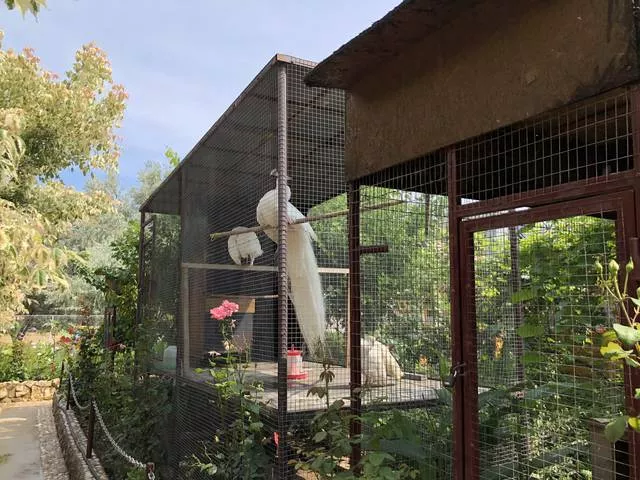 . Гостевой дом Звёздный Берег. Орловка. Севастополь . Гостевой дом Звёздный Берег. Орловка. Севастополь