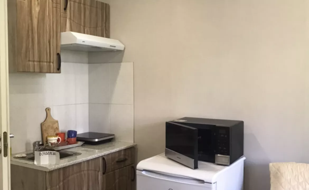 Студия 1 . Квартира поделённая на 2 студии каждая со всеми удобствами. Курорты Сочи