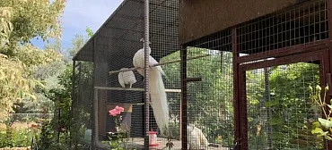 Гостевой дом Звёздный Берег. Орловка