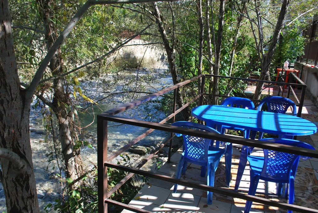 . Гостевой дом "Брауни"     . Ольгинка