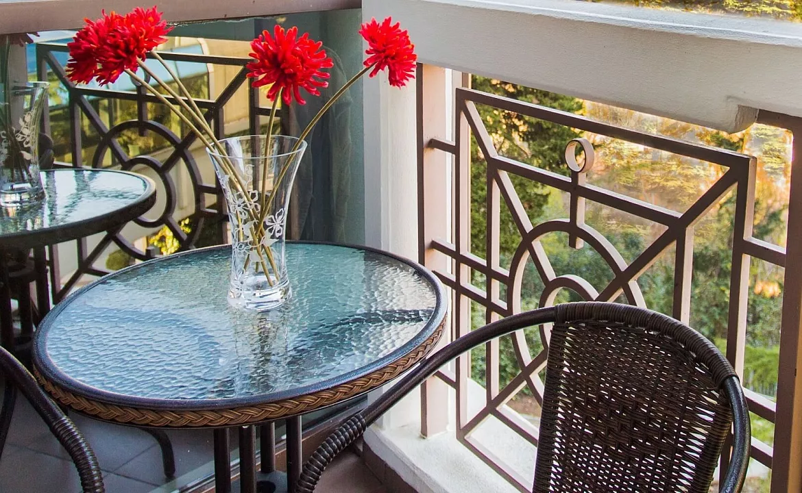 Стандарт Арена. Санаторий Мыс Видный. Хоста