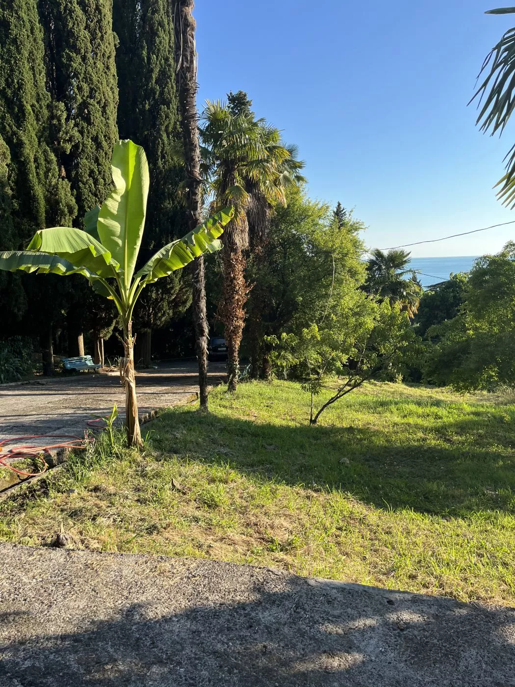 . Гостевой дом "Сосновый рай" . Гагра