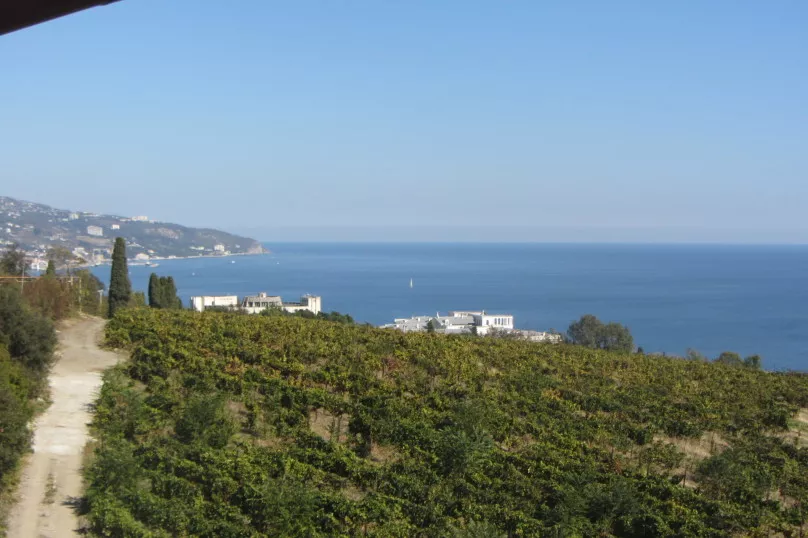 . Гостевой дом Yalta Voyage. Ялта