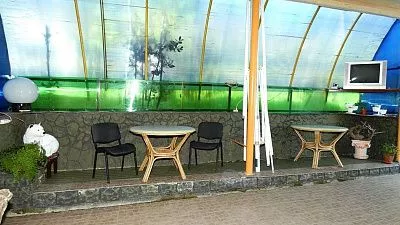 . Гостевой дом "Вильямс". Вардане