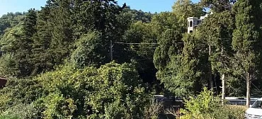 Гостевой дом Зеленый рай