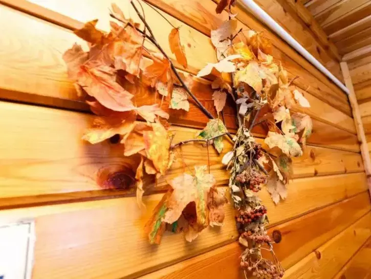 . Гостиница «Стелла». Домбай-гостиницы