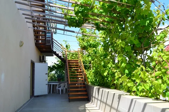 . Гостевой дом «Летний». Витино