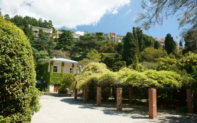 . Пансионат "Южный полюс". Отрадное . Пансионат "Южный полюс". Отрадное