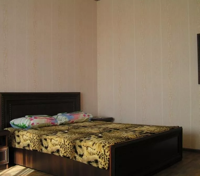 Стандарт. Гостевой дом У Альберта. Головинка Стандарт. Гостевой дом У Альберта. Головинка