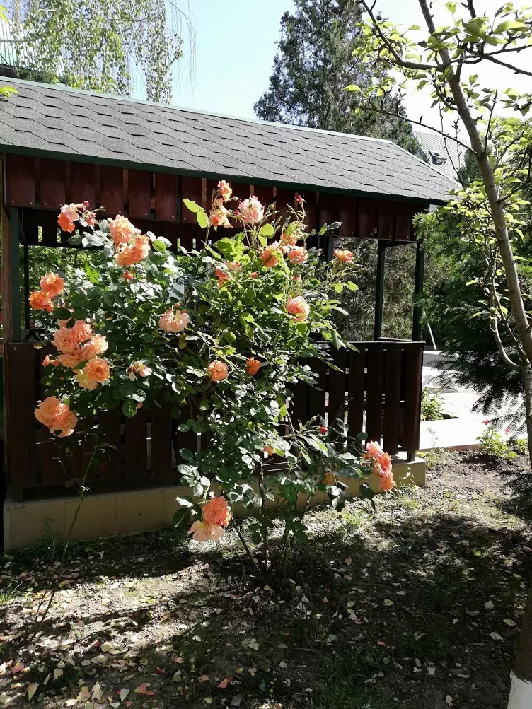 . Гостевой дом "Сибирячка". Ольгинка