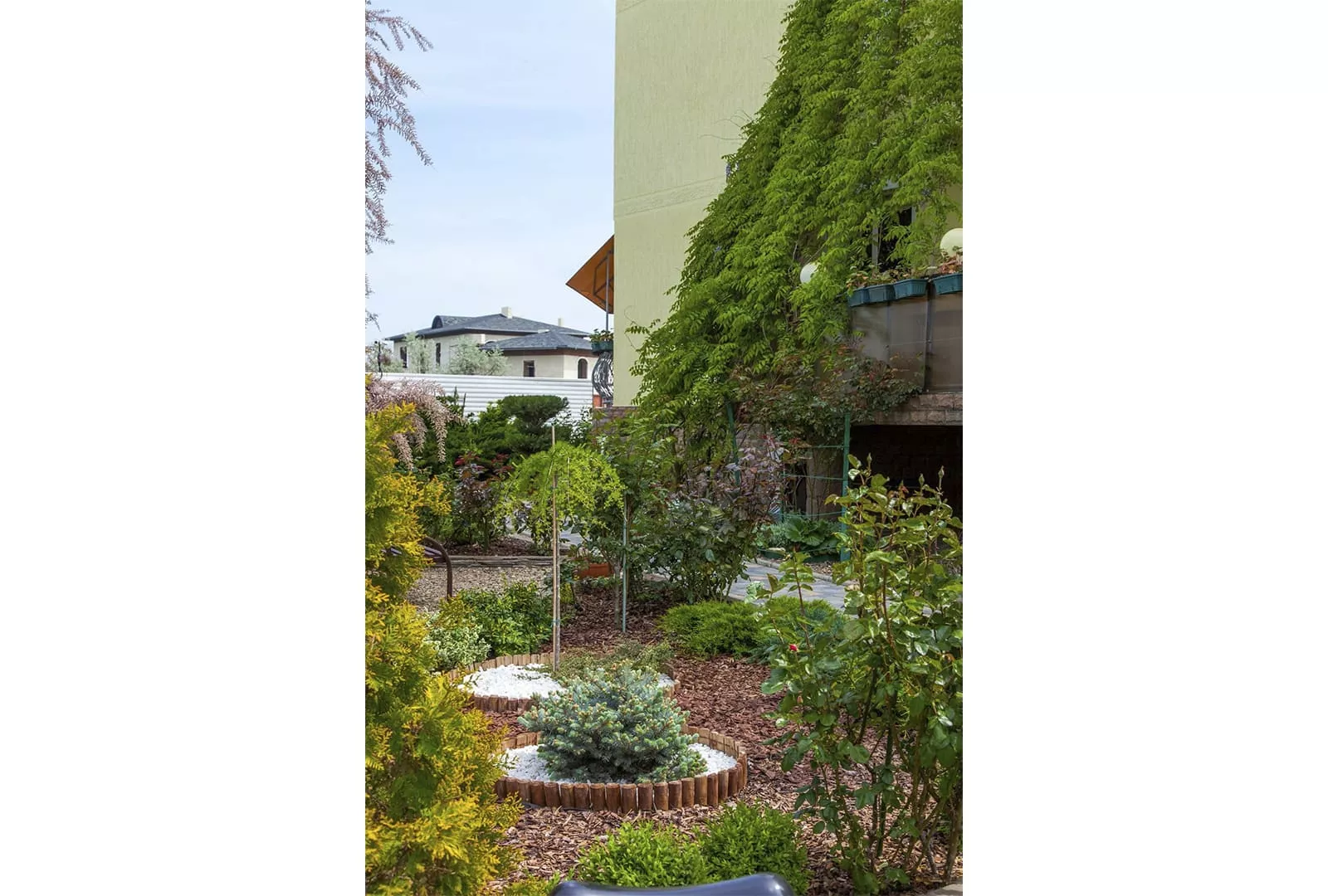 . Гостевой дом Аква-Солярис. Анапа . Гостевой дом Аква-Солярис. Анапа