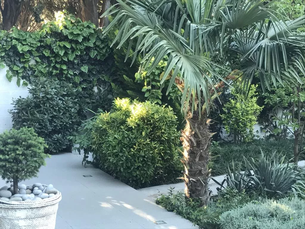 . Отель Вилла Даниель. Отрадное