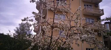 Гостевой дом "Маргарита" - Сочи Гостевой дом "Маргарита" - Сочи