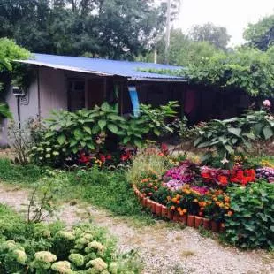 . Гостевой дом "Зеленый дворик" - Криница. Криница