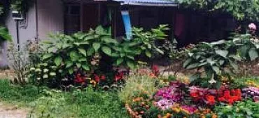 Гостевой дом "Зеленый дворик" - Криница