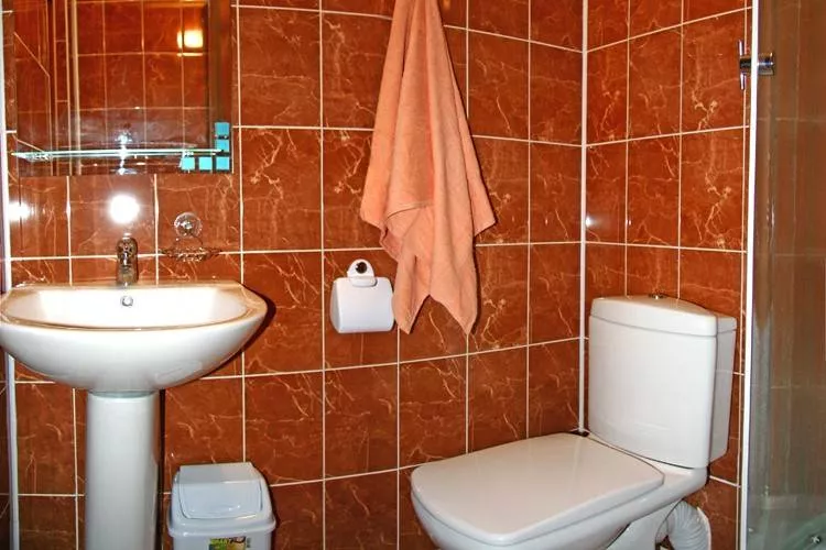 1-комнатный номер - категории Стандарт ДАБЛ. Курортный отель "Апельсин". Саки