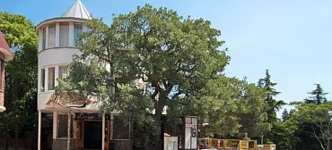 Гостевой дом "Мона Лиза"