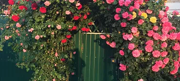 Дом под ключ На Гагарина