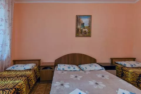 Четырехместный с удобствами и кондиционером. База отдыха "Платан". Лазаревское Четырехместный с удобствами и кондиционером. База отдыха "Платан". Лазаревское