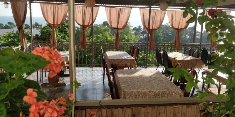 . Гостевой дом "Несник" . Гагра