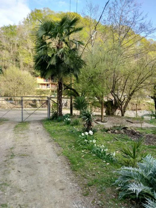 . Частный сектор "Тринадцатый". Квартиры в Пицунде